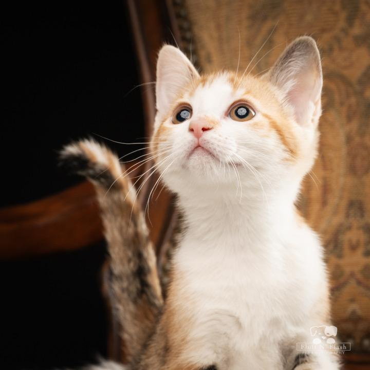 Chloe