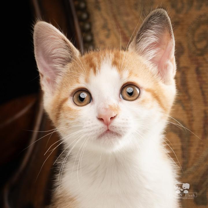 Chloe