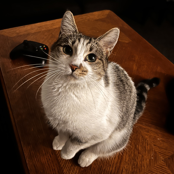 Clementine