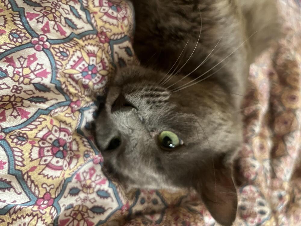 Sweetums