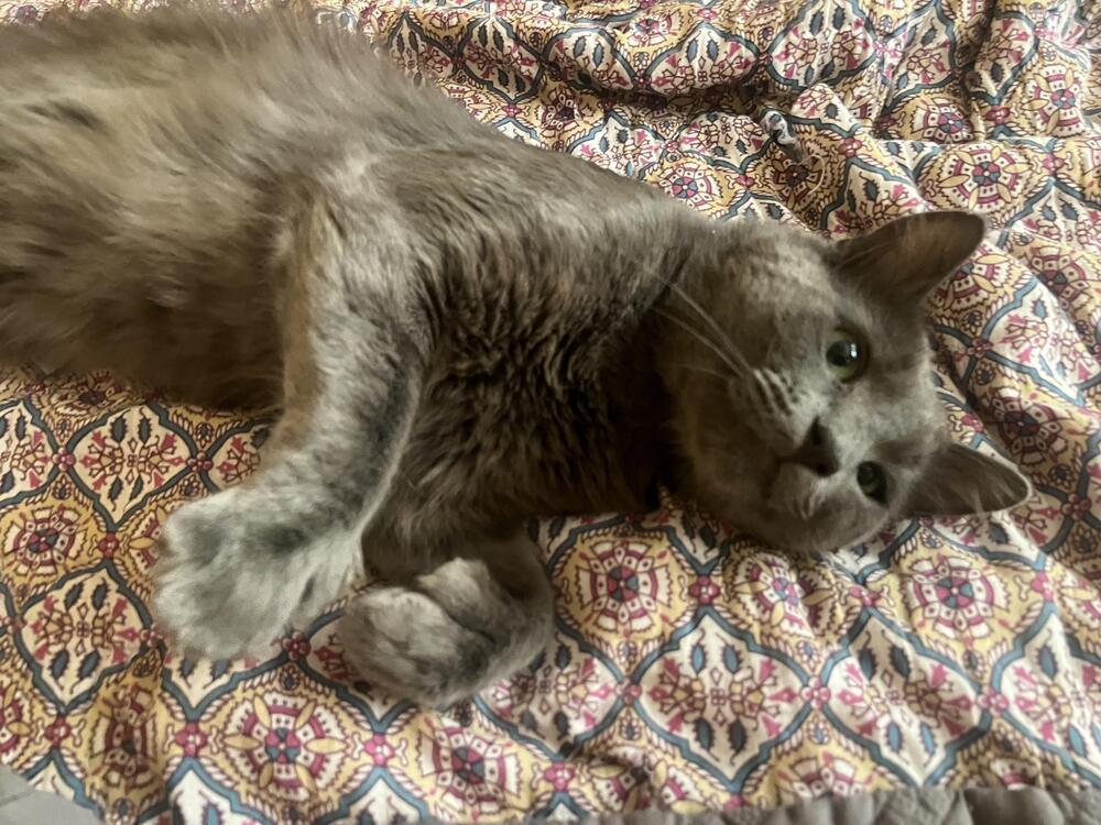 Sweetums