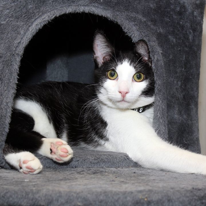 Ziki