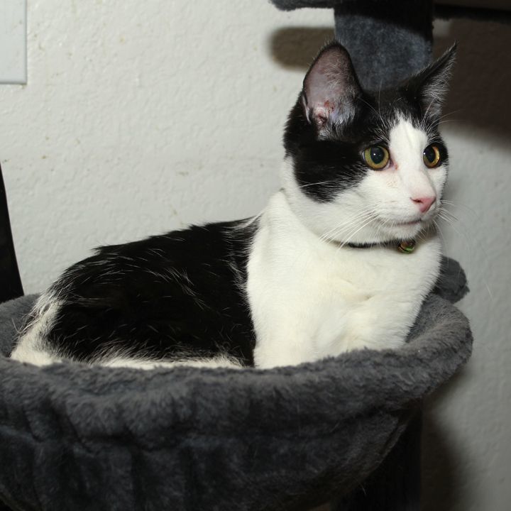 Ziki