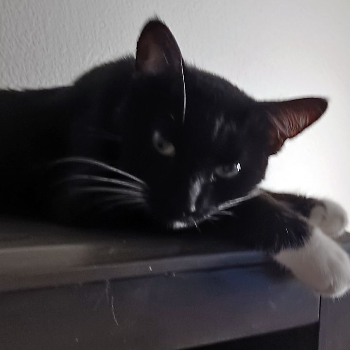 Tucker