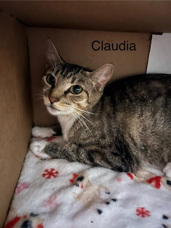 Claudia
