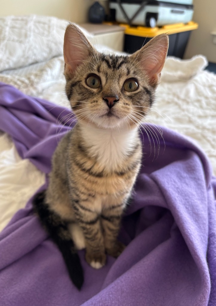 Ella