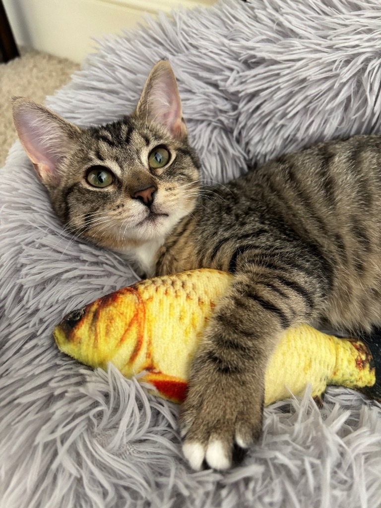 Ella