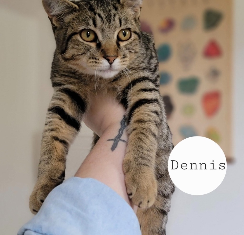 Dennis