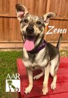 Zena photo 1
