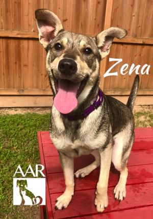 Zena, Young Female unknown