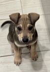 Zena photo 2