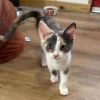 Tessie photo 1