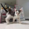 Tessie photo 5