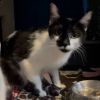 Esme photo 1