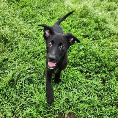 Reggie (AKA Billie)