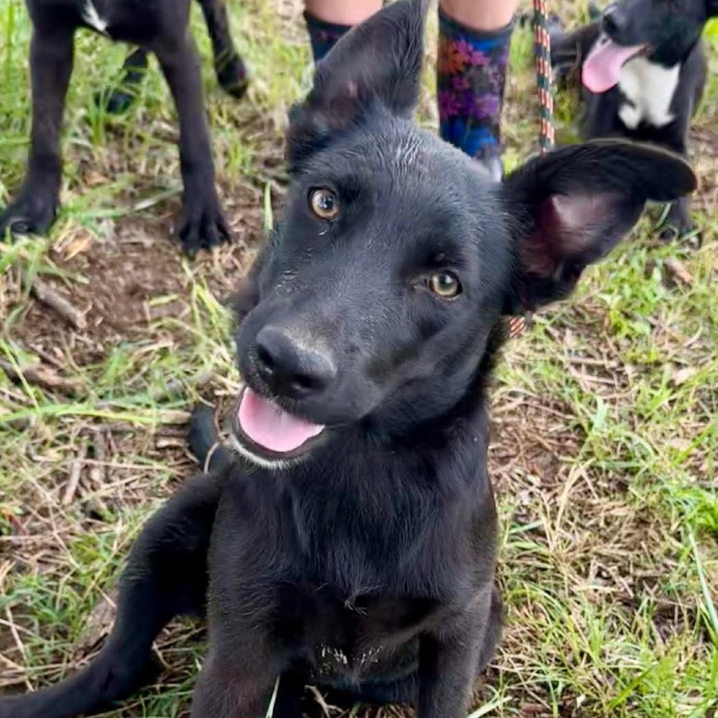 Reggie (AKA Billie)