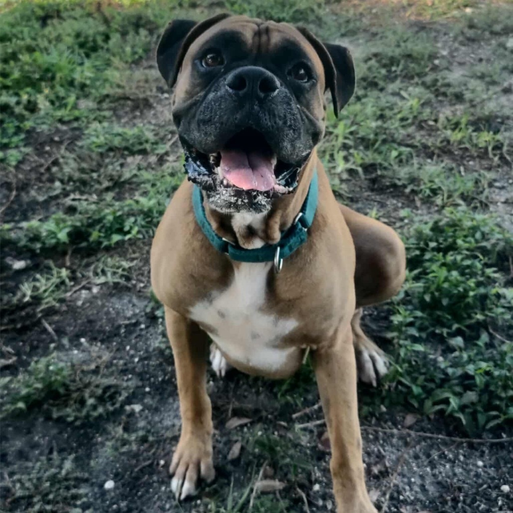 Zeus