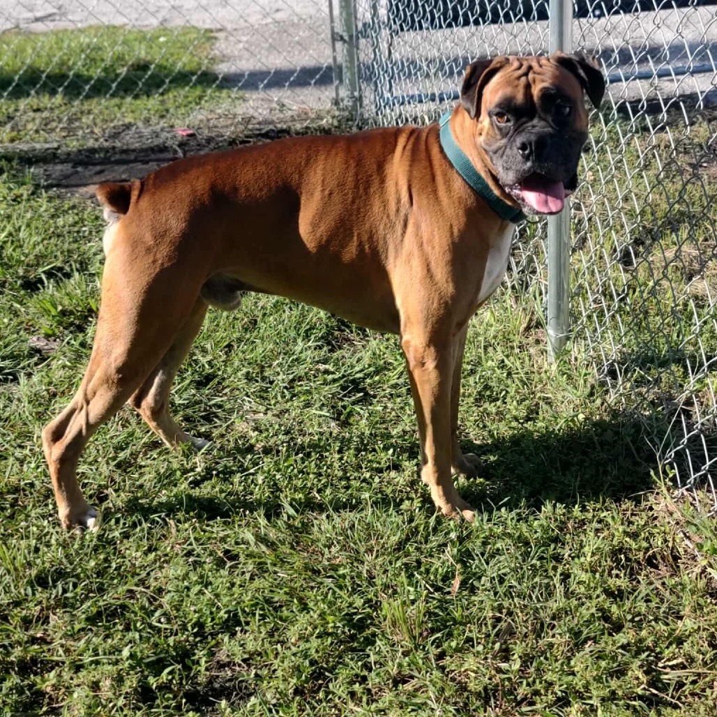 Zeus