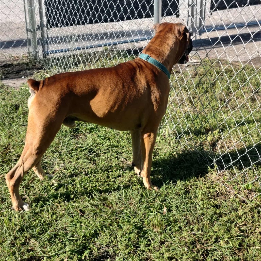 Zeus
