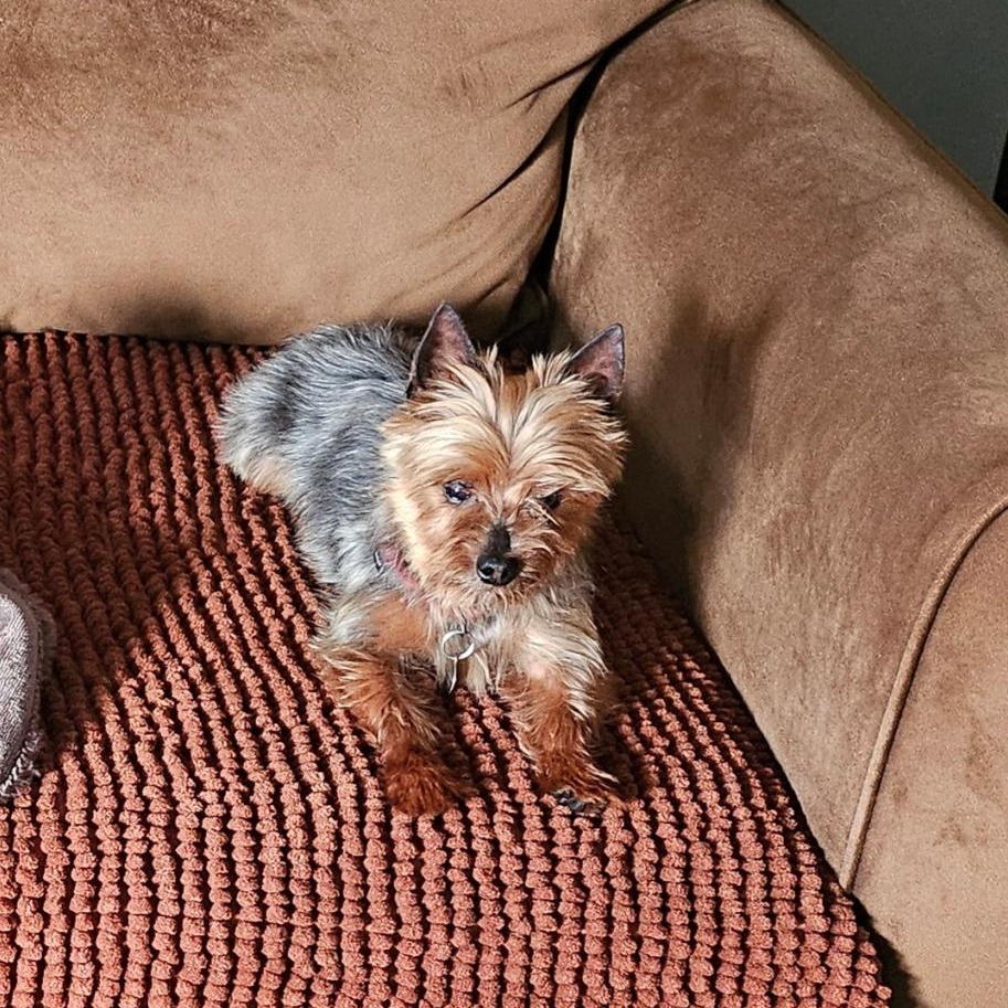 Cooper