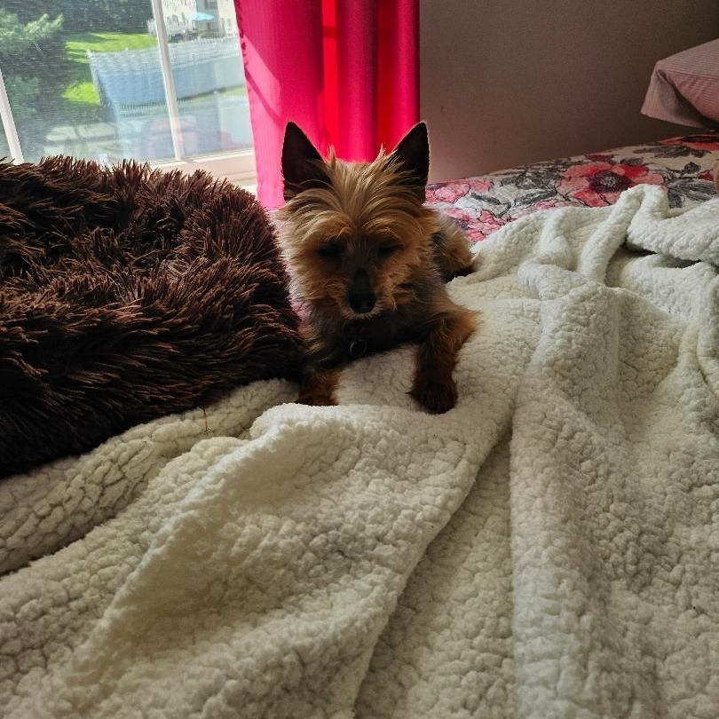 Cooper