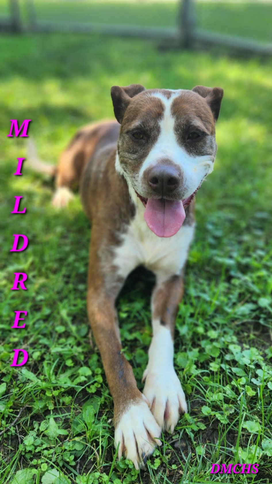Mildred