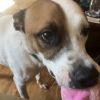 Jack (formerly Gilligan) photo 2
