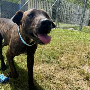 Dash (formerly Powerade), Adult Male unknown
