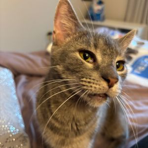 Arby's - IN FOSTER, Senior Female unknown