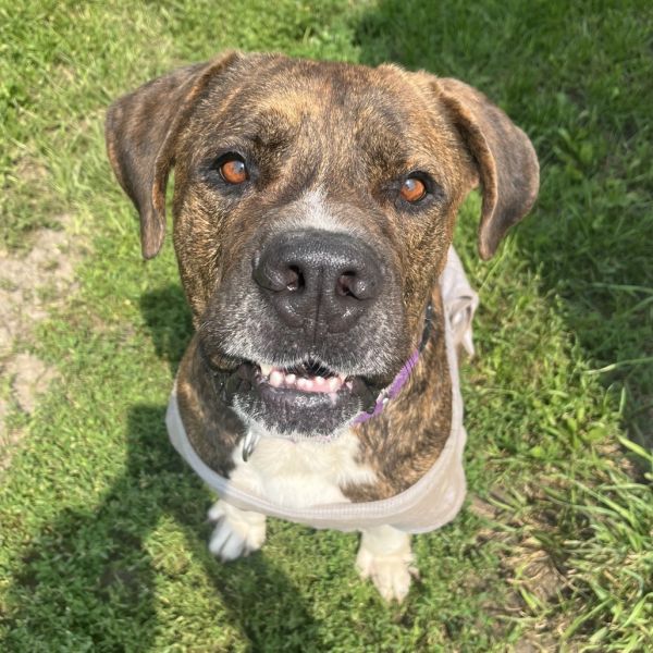 Big Mike thumbnail 3