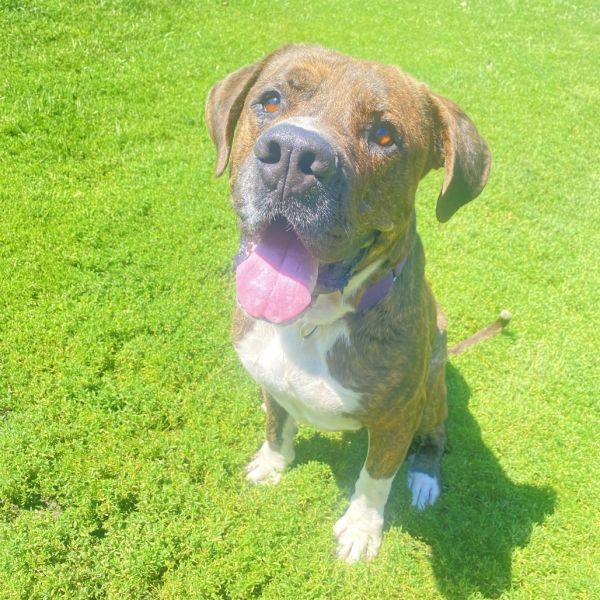 Big Mike thumbnail 4