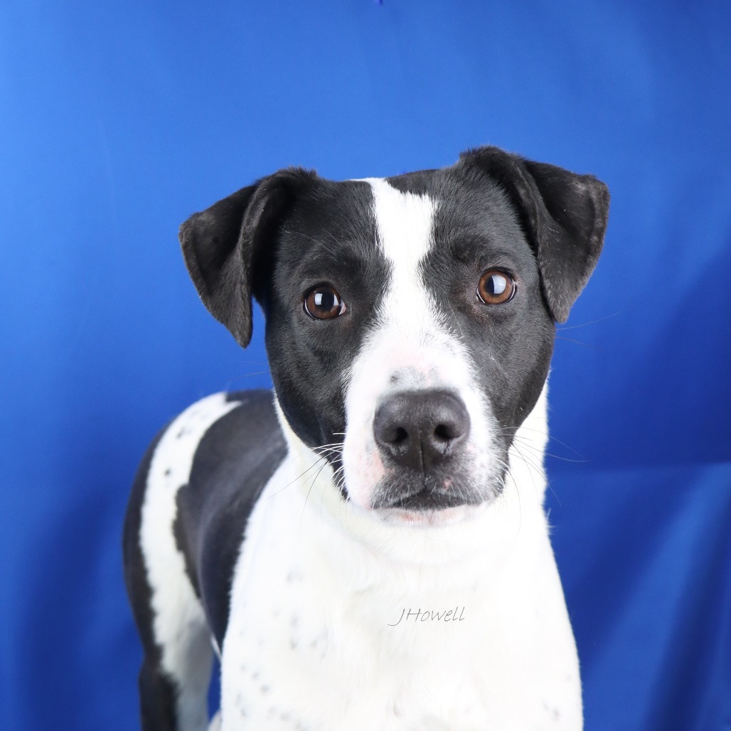Lady- 043013T
