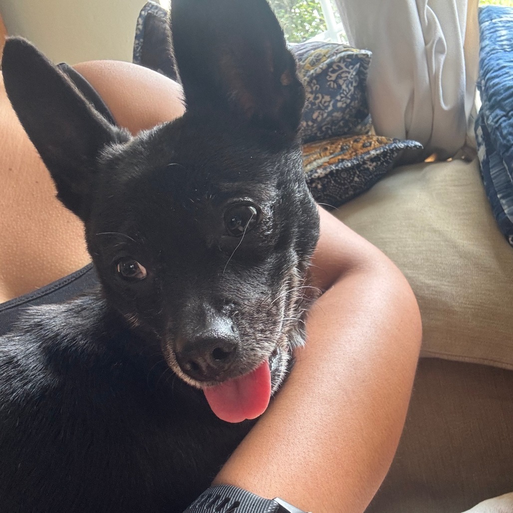 Chichi