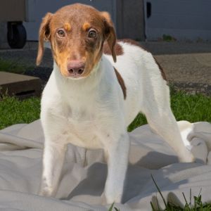 Jolene, Baby Female unknown