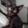 Nani photo 1