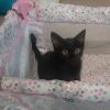Nani photo 2
