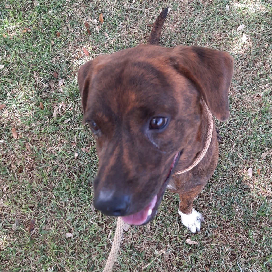Milo