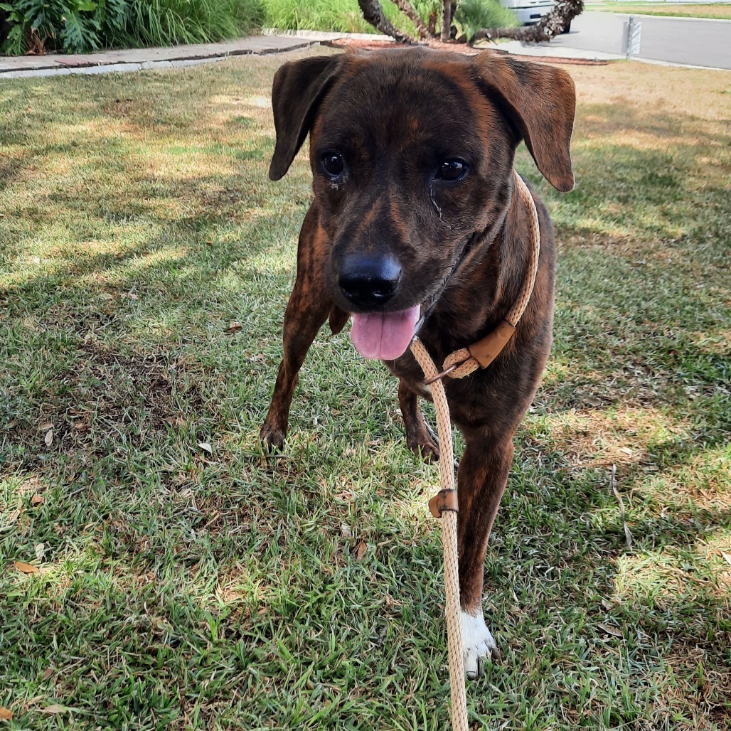 Milo