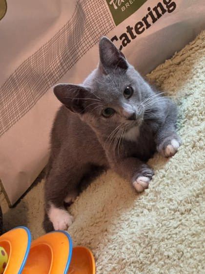 Glyfie