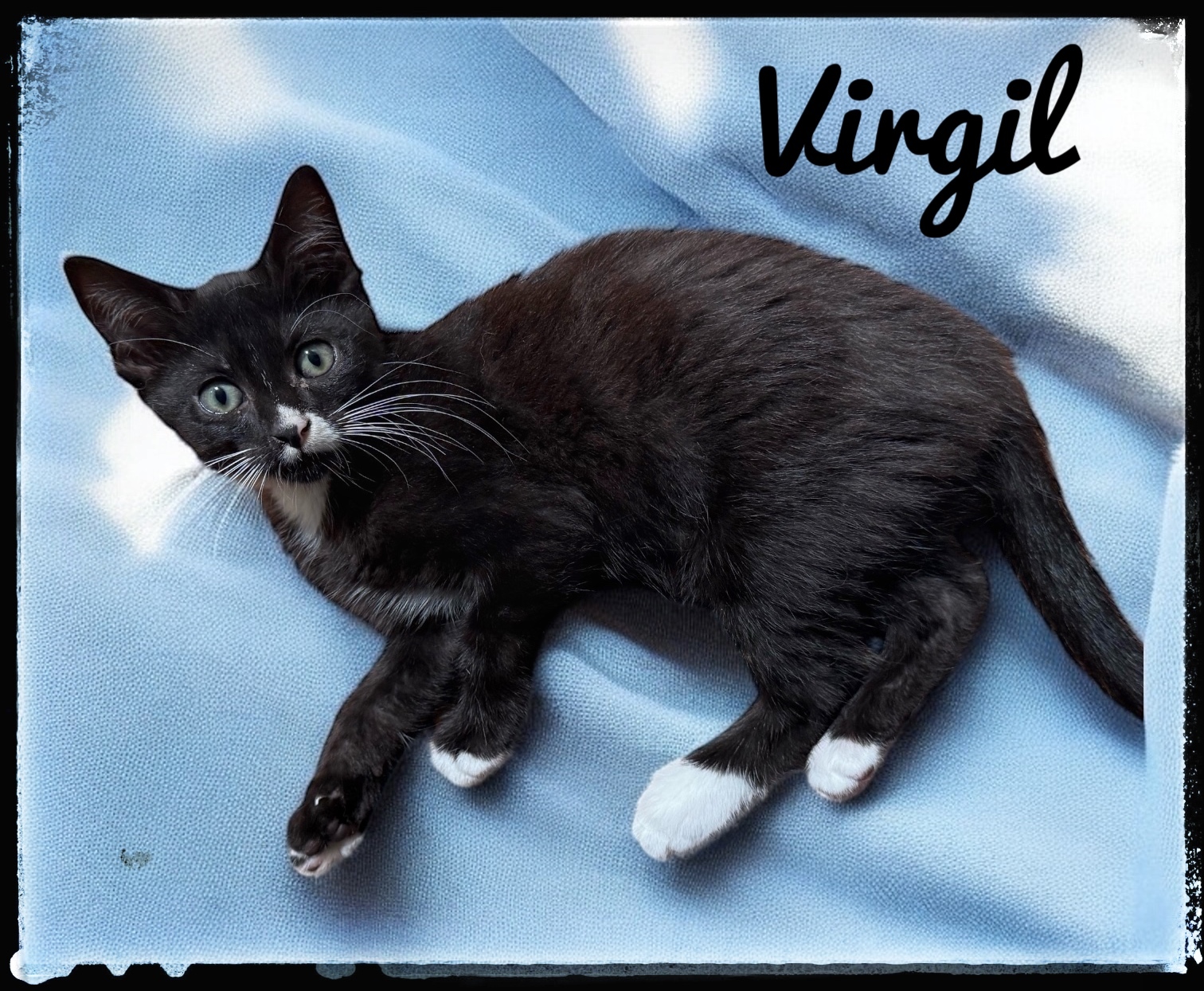 Virgil