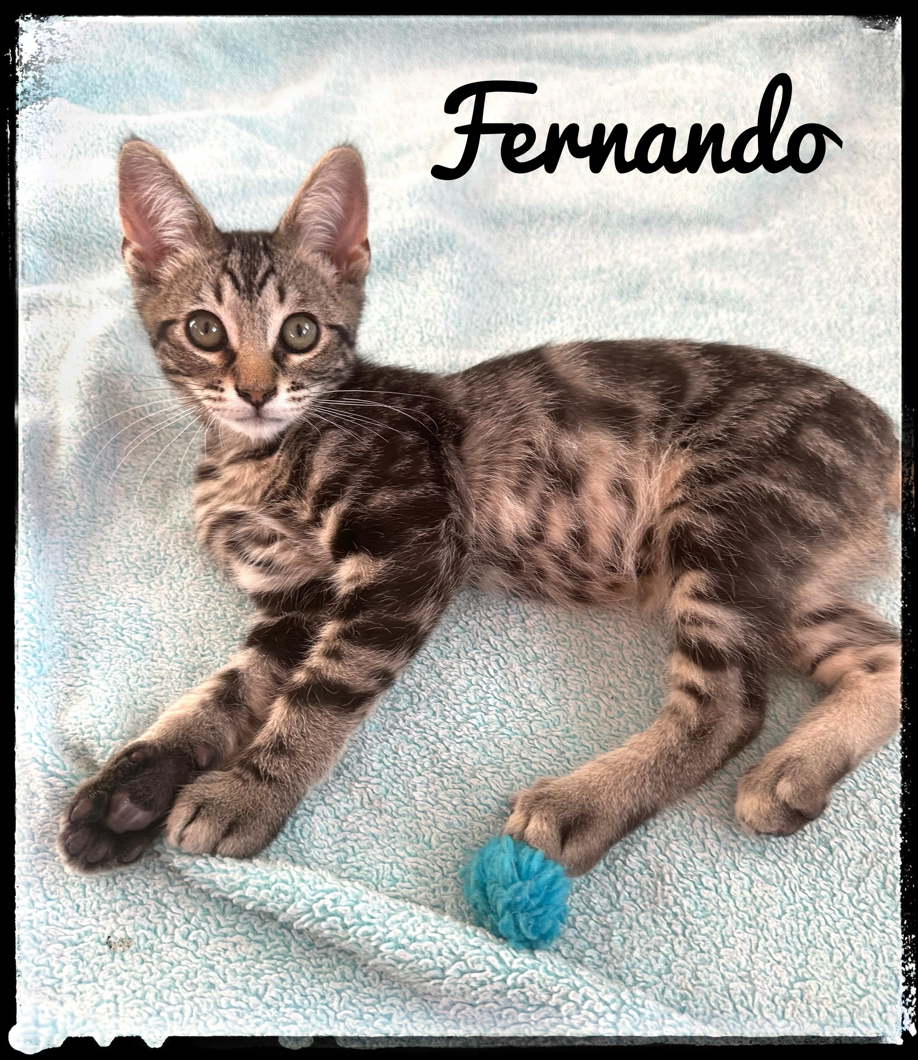 Fernando