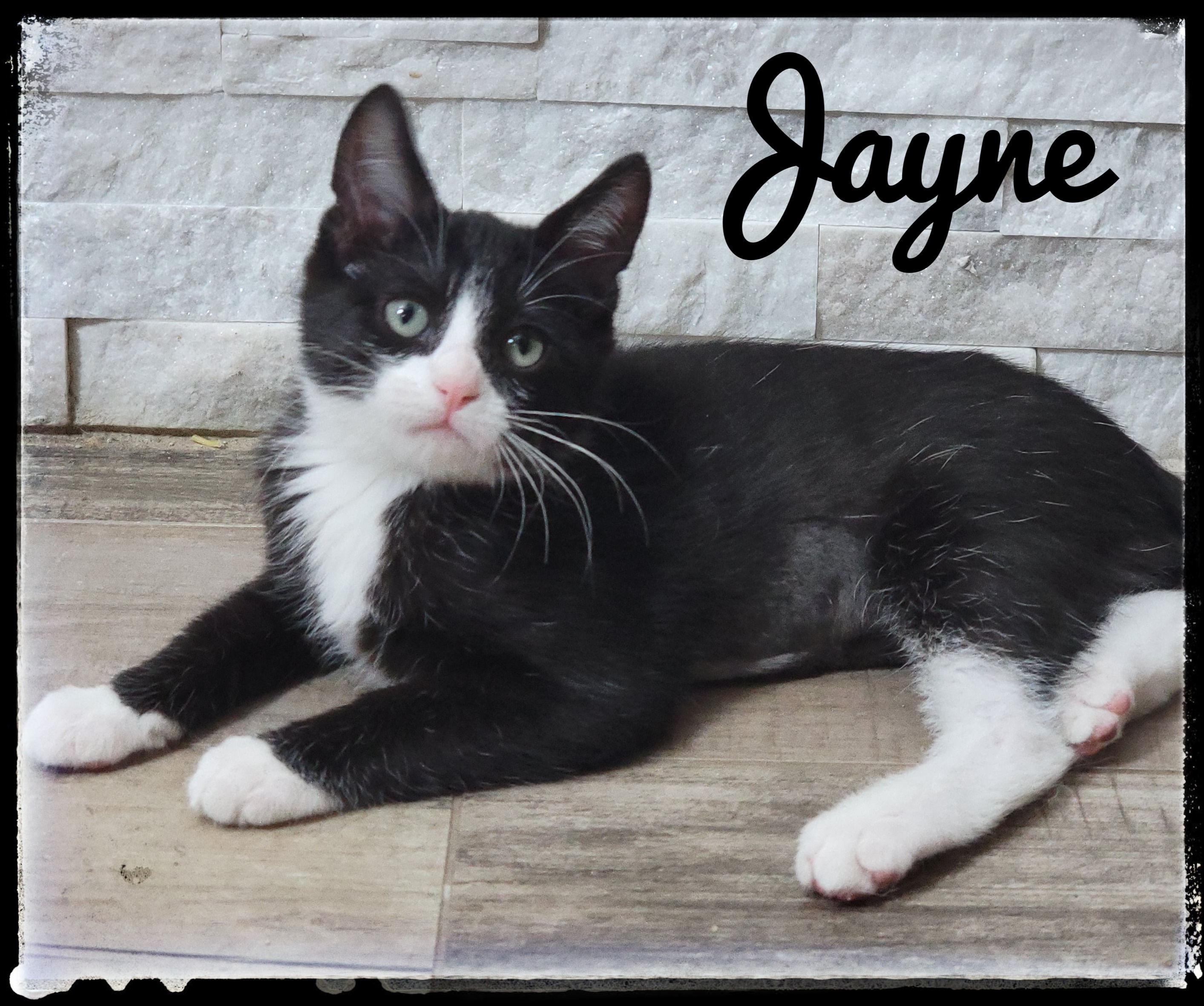 Jayne