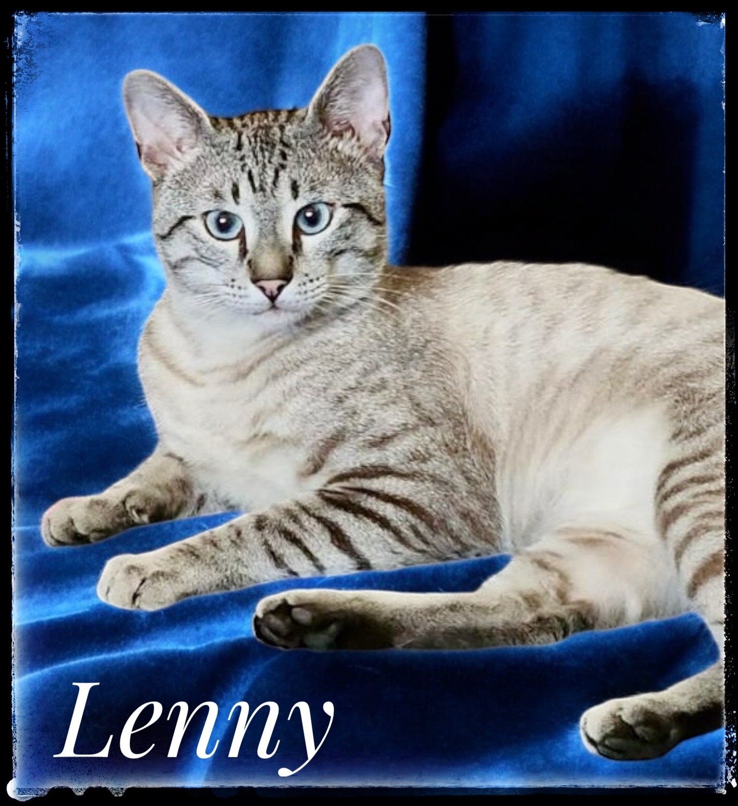 Lenny