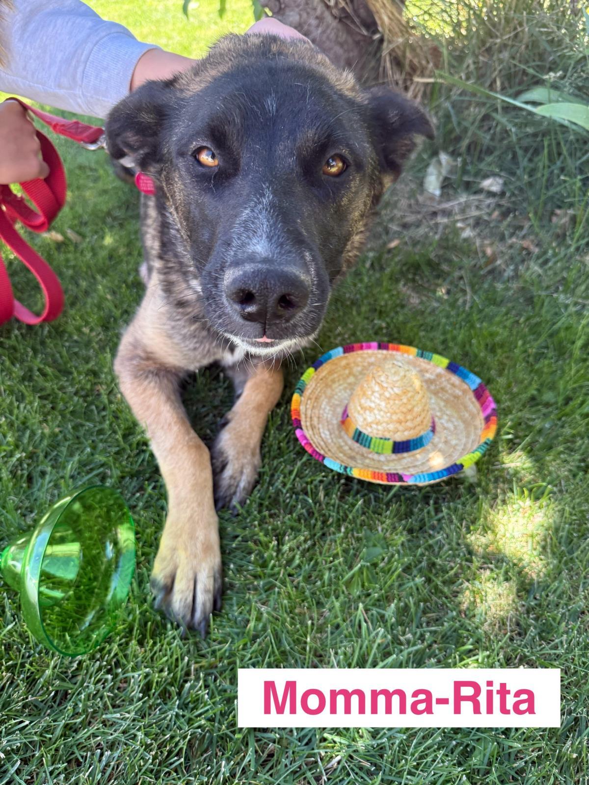 Adopt Mama Rita