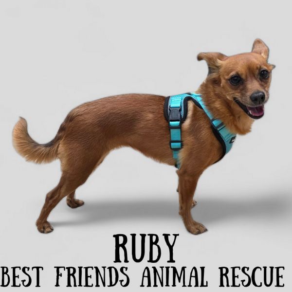 Ruby