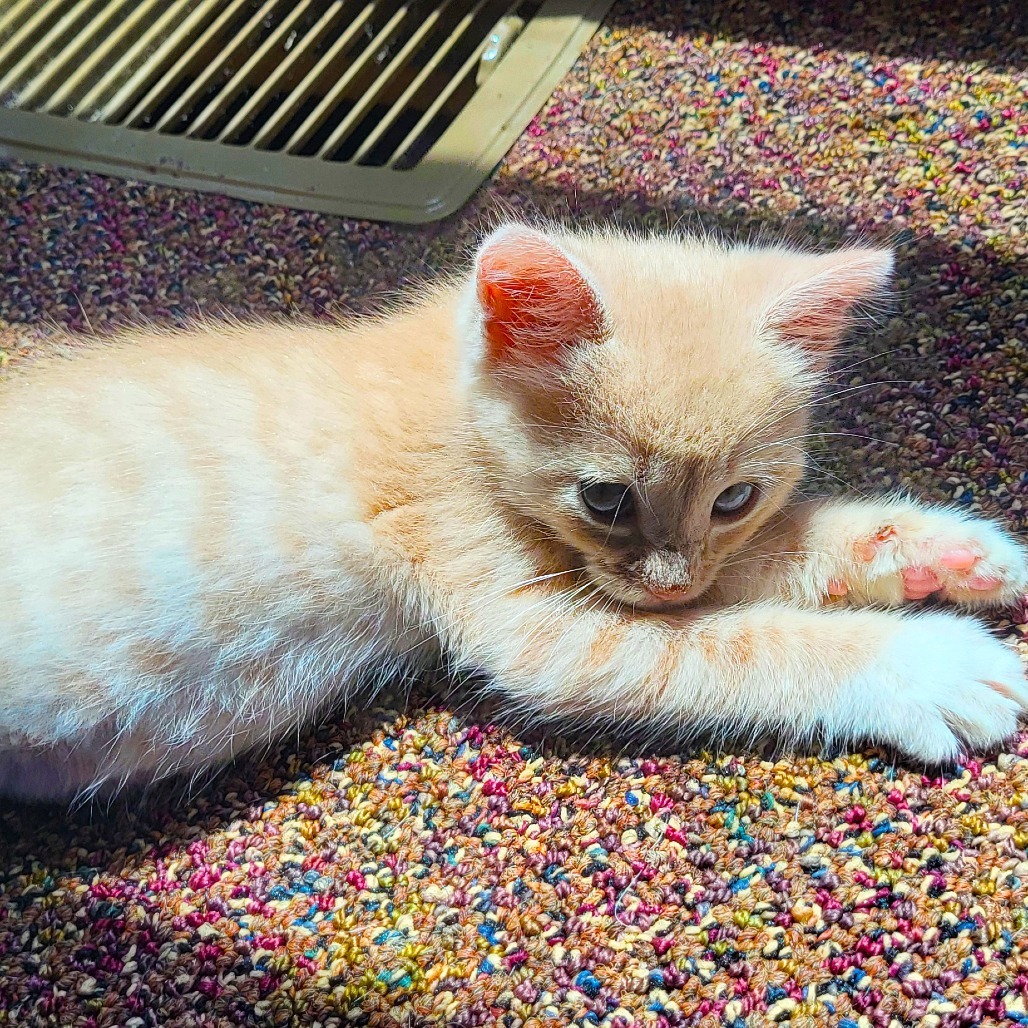 George