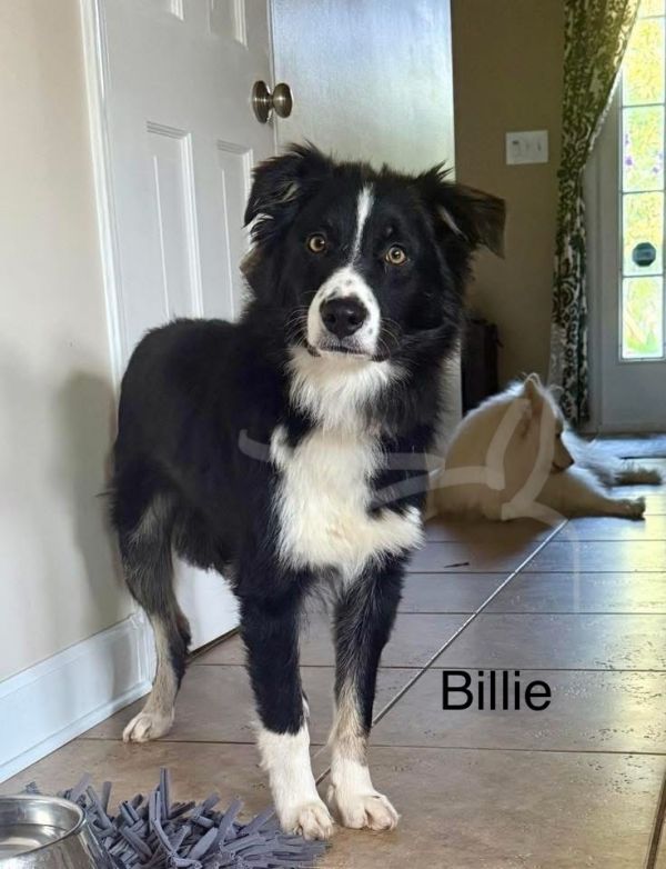 Billie