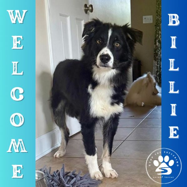 Billie thumbnail 2