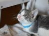 Asher photo 1