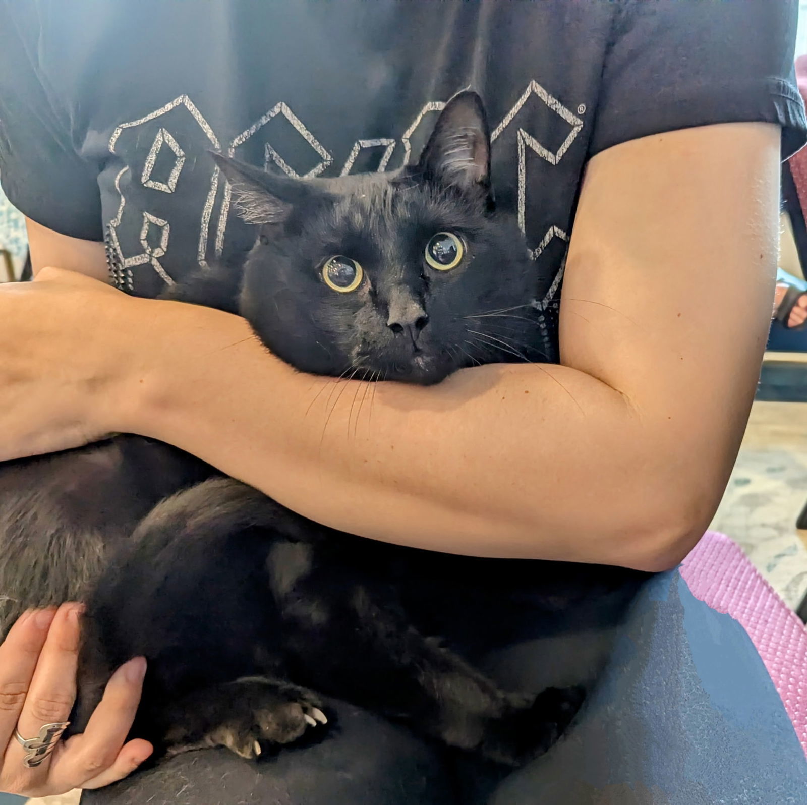 Toothless